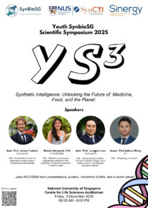 YS3_Flyer