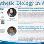 SynBio in Asia
