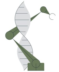 GBA WEBINAR SERIES