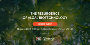 algae banner