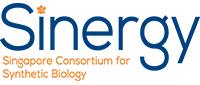 Sinergy Logo